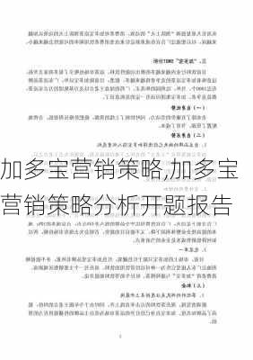 加多宝营销策略,加多宝营销策略分析开题报告-第2张图片-星梦范文网