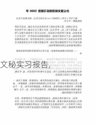 文秘实习报告,-第3张图片-星梦范文网