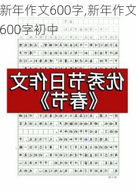 新年作文600字,新年作文600字初中-第2张图片-星梦范文网