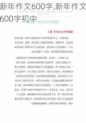 新年作文600字,新年作文600字初中-第3张图片-星梦范文网